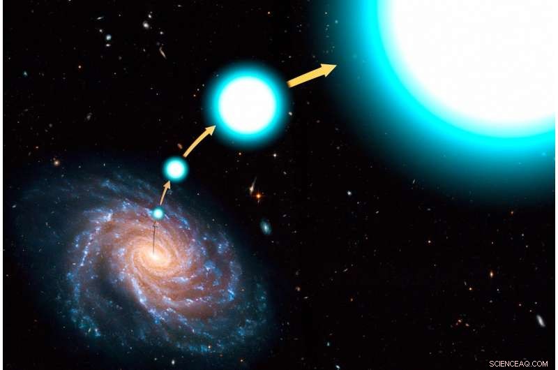 Measuring the Milky Way s Mass Through Hypervelocity Stars