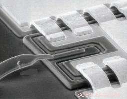 New Far-Infrared Instrument Maps Star Formation Across the Universe