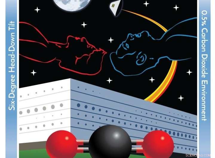 German Space Agency s Bedrest Study: How 12 Volunteers Test Human Physiology in Microgravity Simulation