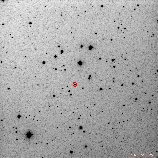 Asteroid 376227 (Luca Parmitano): Stunning Space Image