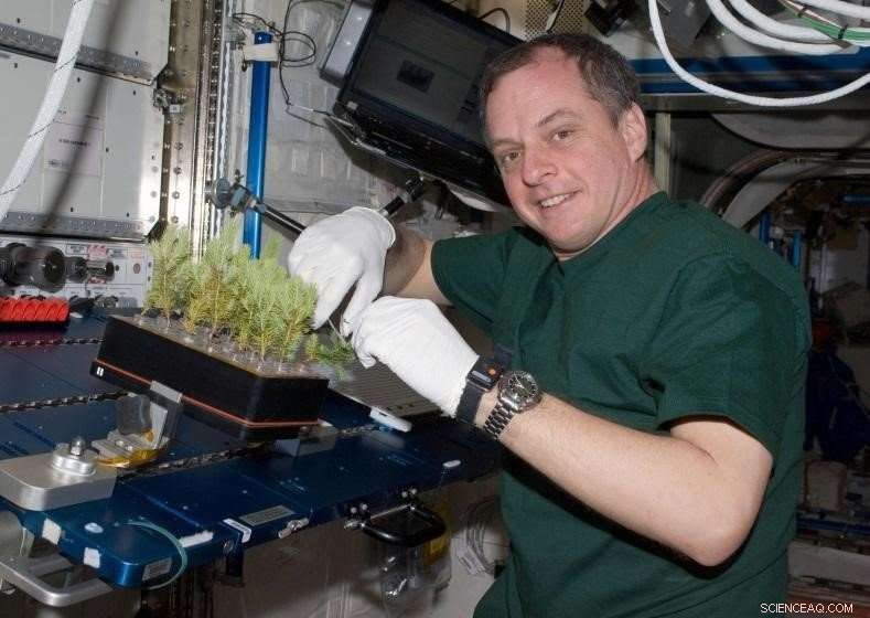 Space-Grown Greenery Surpasses Earthly Expectations