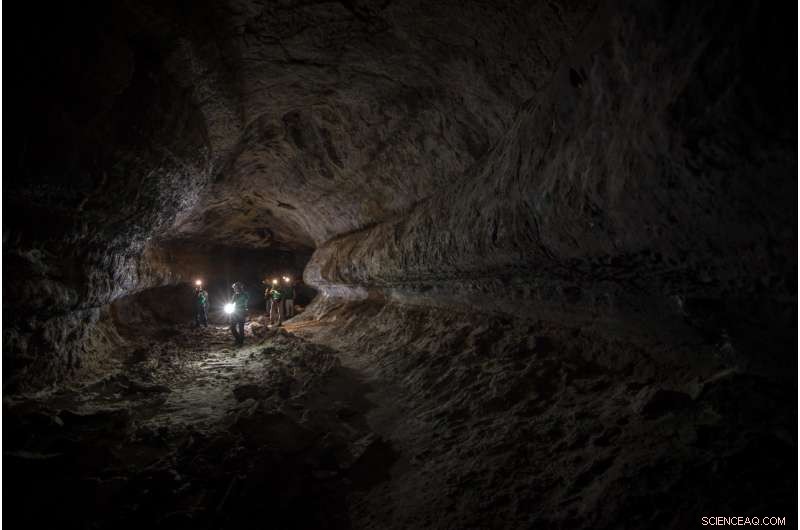 Mining for Mars: Testing Underground Habitats