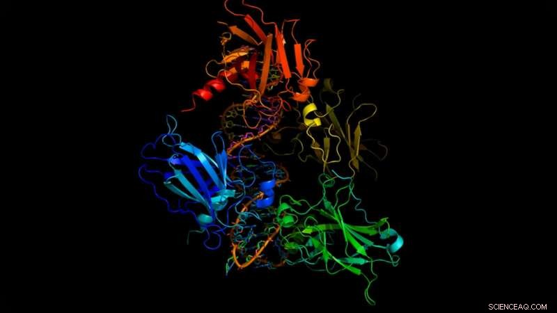 NASA Twins Study Reveals Gene Expression Changes in Space