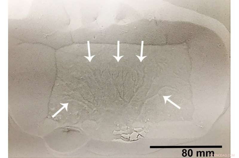 Mars  Winter Transformations Sculpt the Red Planet s Landscape