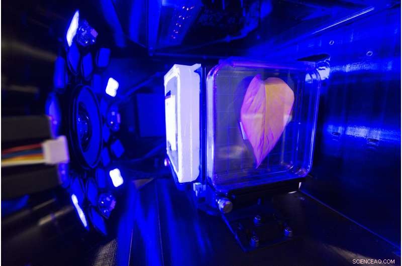 NASA’s Spectrum Project: Studying Genetics of Microorganisms in Space