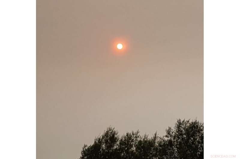 Red Skies at Night: An Astronomer s Take on the Shepherd s Delight Proverb