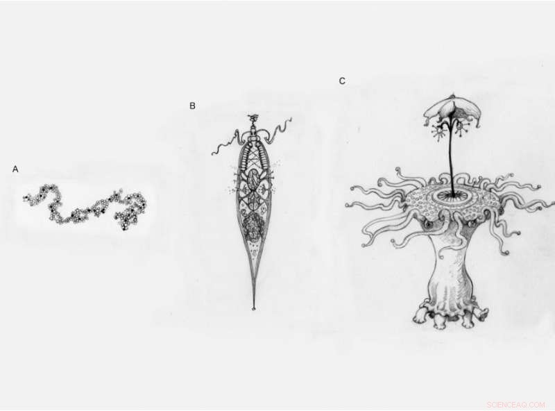 Could Aliens Be More Human Than We Assume?