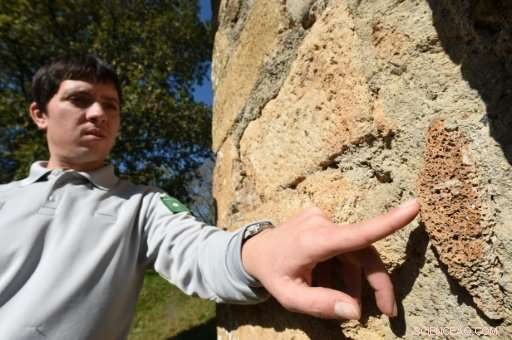 Scientists Extract Data from Meteorite Impact Site to Reveal Cosmic Secrets