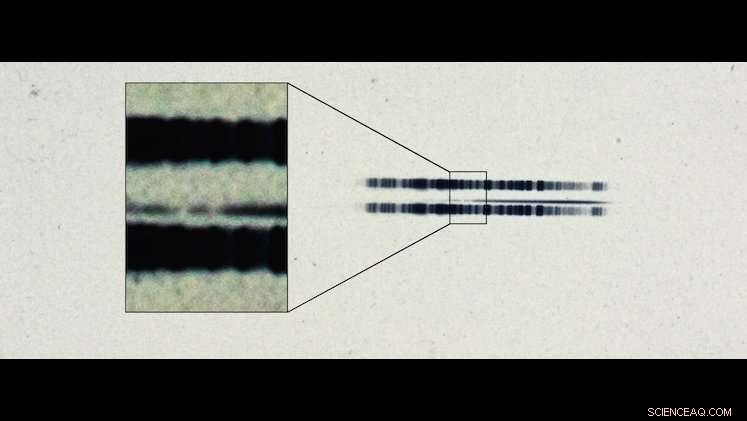 Unveiling the First Concrete Evidence of Exoplanets
