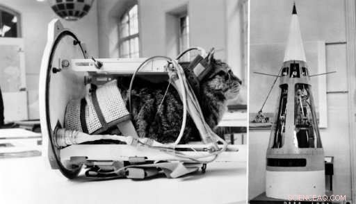 Laika and the Pioneer Pets: The First Animal Mission into Orbit