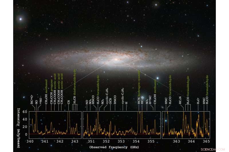 ALMA Uncovers a Rich Forest of Molecular Signals in Star-Forming Galaxy