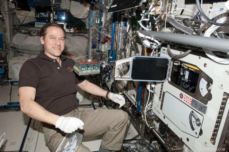 Mitigating Stress in Space-Grown Seedlings: NASA’s Innovative Growth Strategies