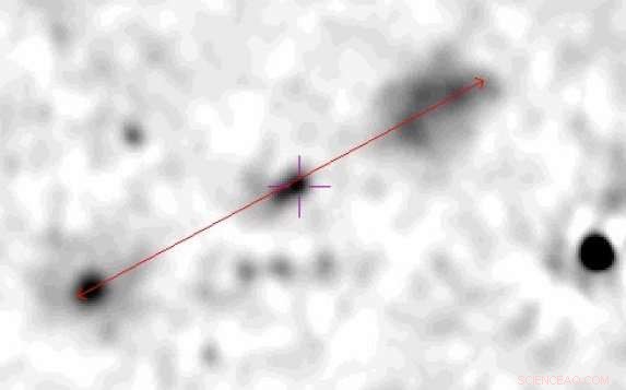 Seven Giant Radio Galaxies Unveiled by Mexican Astronomers