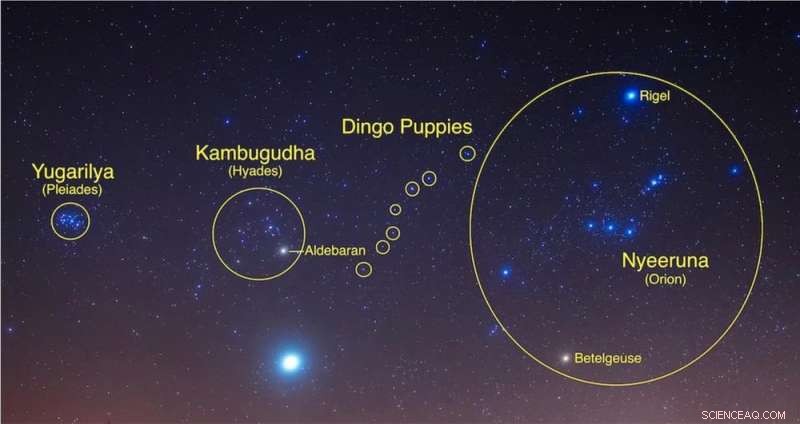 Variable Stars Illuminate Aboriginal Australian Oral Traditions