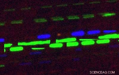 Interstellar Object Resembles Known Solar System Visitor, Captured by WIYN Telescope