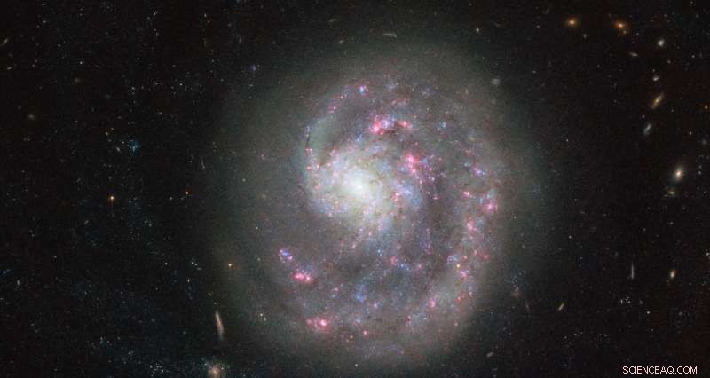 NASA/ESA Hubble Reveals Missing Spiral Arm in Dwarf Galaxy NGC 4625