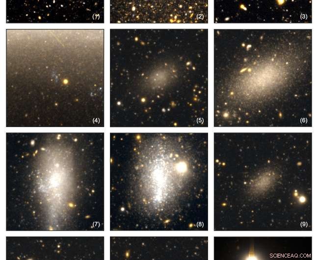 Tracing the Origins of Galactic Halos with the Subaru Telescope