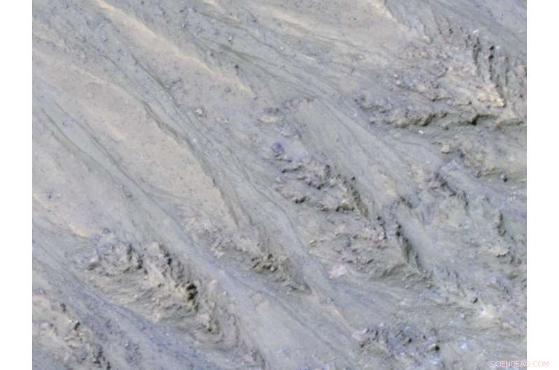 Martian RSL: Are Sand Flows the Real Driver of Seasonal Streaks?