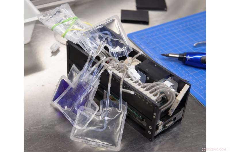 NASA Sends E. coli into Orbit to Safeguard Astronaut Health