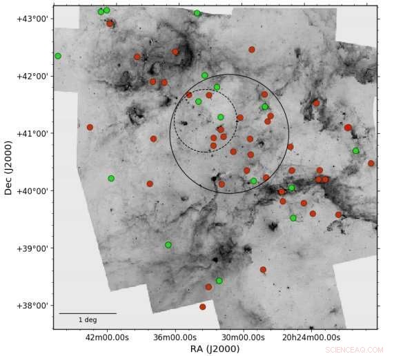 Astronomers Confirm Dozens of New OB-Type Stars in Cygnus OB2