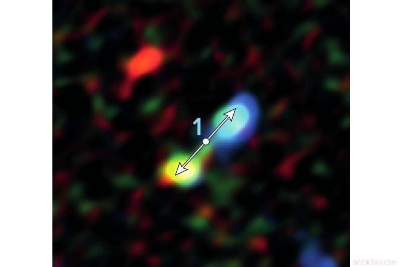 ALMA Reveals Unexpected Cluster of Protostars Near the Milky Way’s Supermassive Black Hole