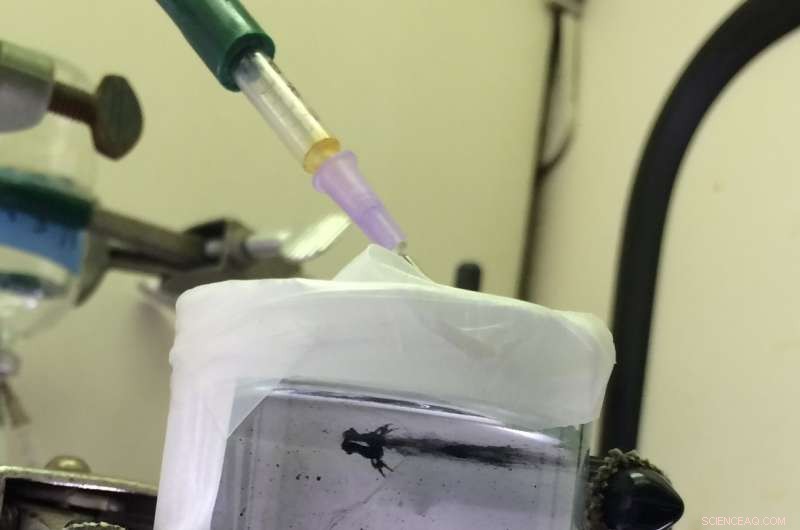 Bringing Enceladus to Earth: Lab Experiments on Hydrothermal Vents