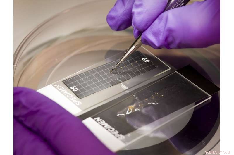 NASA Launches Advanced Biology Experiments to the International Space Station