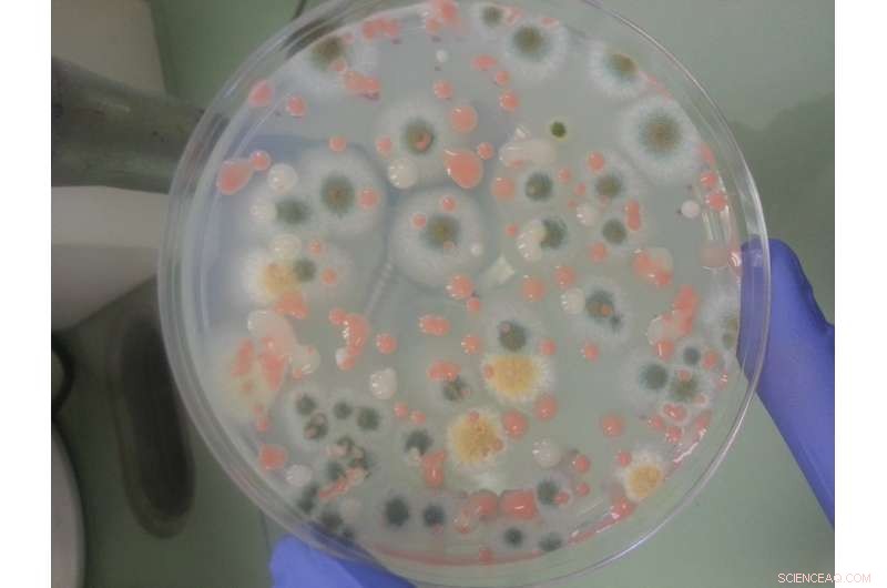 NASA Launches Advanced Biology Experiments to the International Space Station