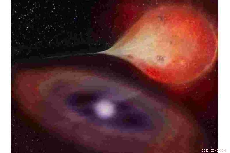 Scientists Reveal That Hungry White Dwarfs Consume Matter in Binge‑Like Episodes