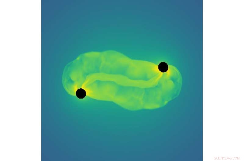 Black Hole Binary Formed Inside a Collapsing Star