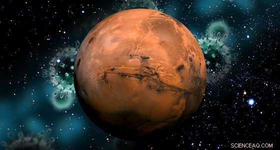 Evidence of Mars’ Past Life: Co‑Evolution with Its Environment