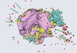 Explore NASA’s Chandra X‑Ray Data in a New Stellar Reality Show