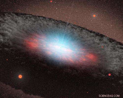 Supermassive Black Holes Shape Star Formation in Massive Galaxies