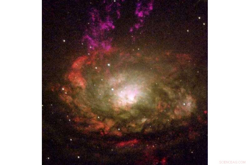 Exploring the Geometry of Nuclear Black Hole Accretion Disks