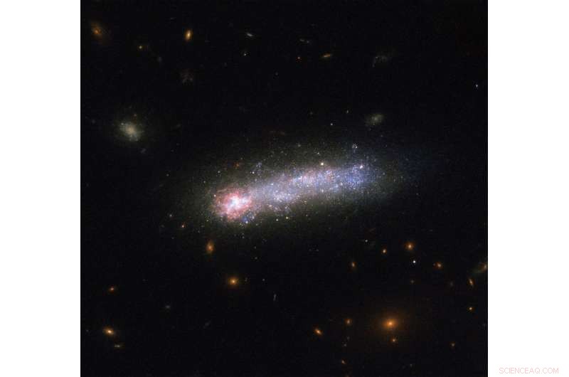 Kiso 5639: A Stunning Dwarf Galaxy Captured by NASA & ESA