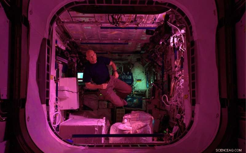 ESA Astronaut Alexander Gerst in ISS Columbus Laboratory