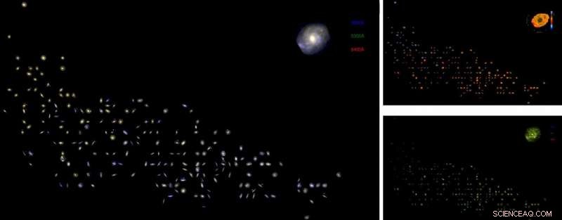 Comprehensive Library of Galaxy Histories Derived from Stellar Kinematics