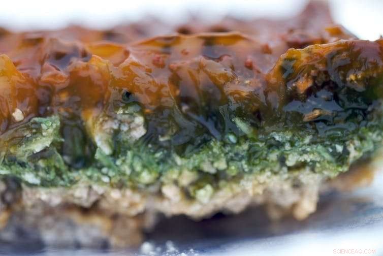 Rover May Find Life on Mars – What It Takes to Confirm the Discovery