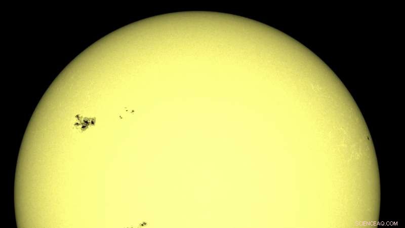 A Special Star Unlocks Secrets of Solar Variability and Climate Impact