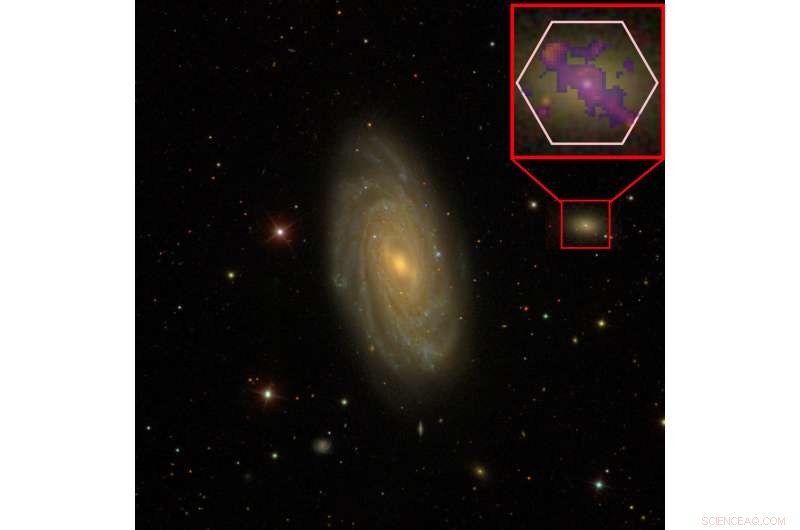 How Black Hole Research Illuminates Dwarf Galaxy Evolution