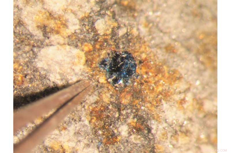 Scientists Discover Life-Building Molecules in Earth-Impacting Meteorites