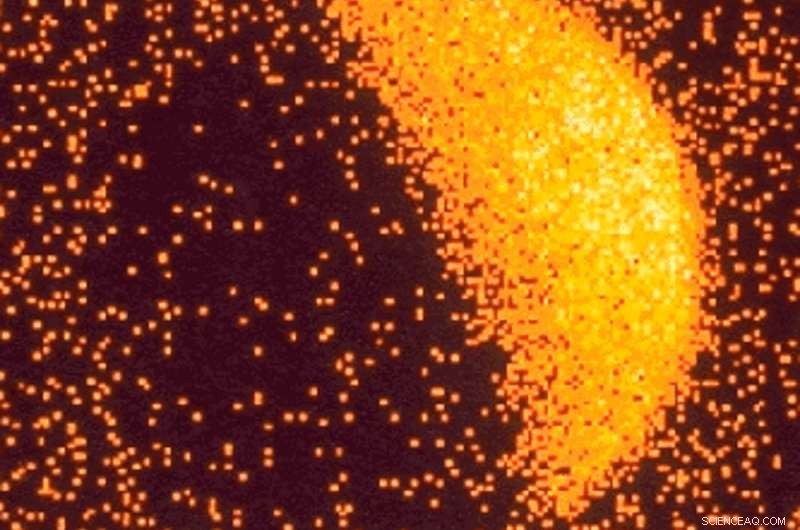 Unveiling the Cosmos Through Multi-Wavelength Observations