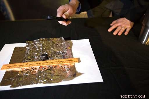 Scientists Unearth First Michigan Meteorite Fragments