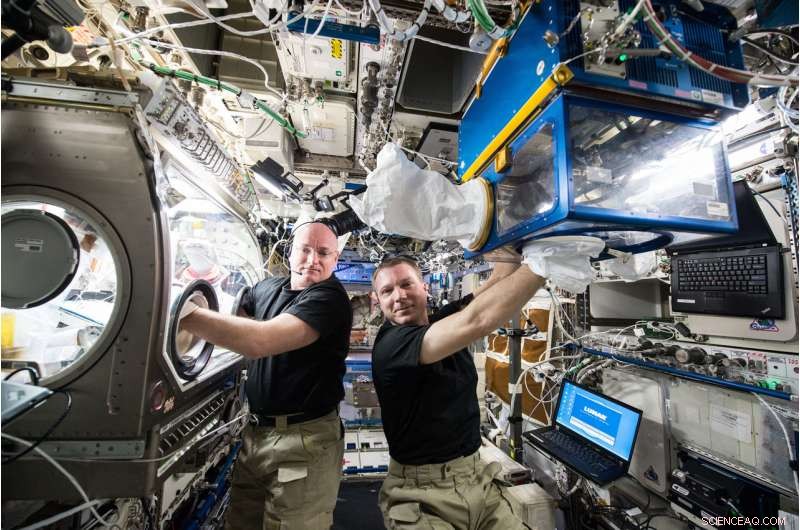 Space Station Study Tests Implantable Device to Prevent Muscle Loss