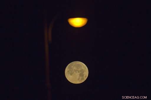 Rare Lunar Trifecta: First Super Blue Blood Moon in 35 Years