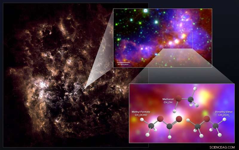 Complex Organic Molecules Found in Stellar Embryos of Nearby Dwarf Galaxy