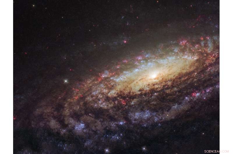 Hubble Reveals the Majestic Spiral Galaxy NGC 7331 in Pegasus