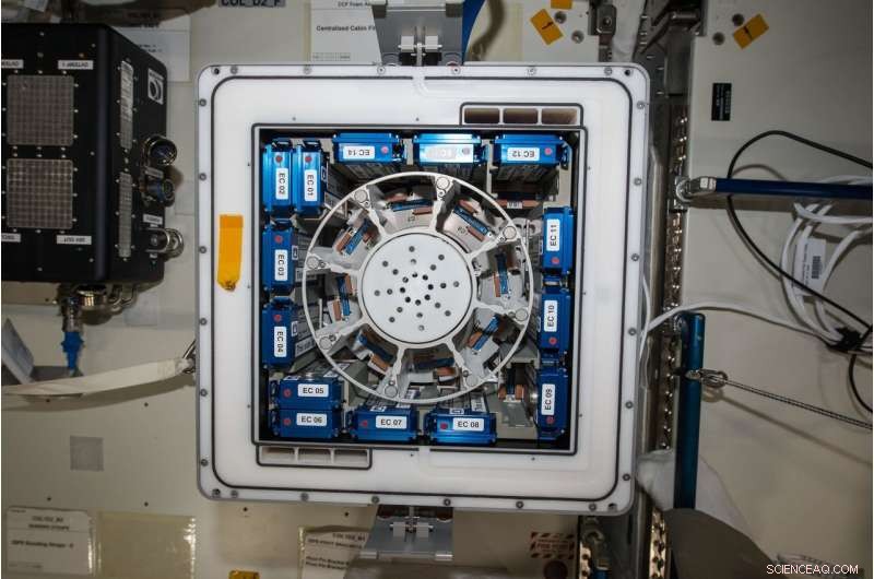 Kubik Lab Inside ESA s Columbus Module: A 40 cm Scientific Success