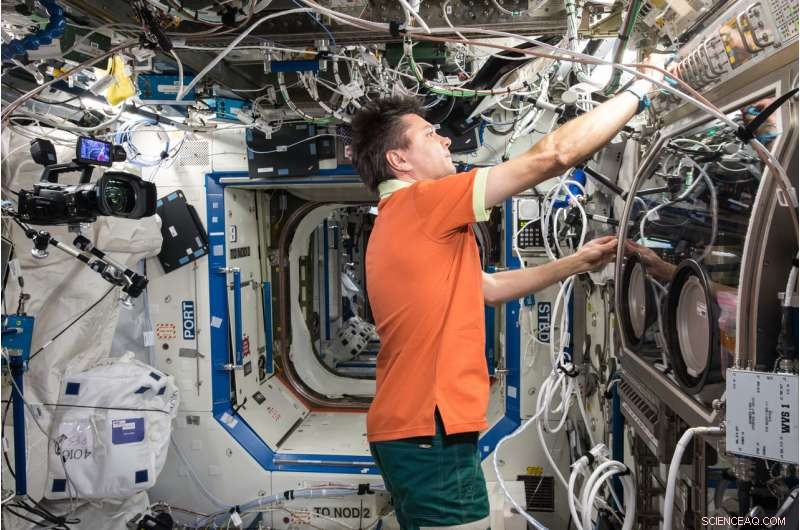 The Fascinating Dynamics of Bubbles and Fluids in Microgravity