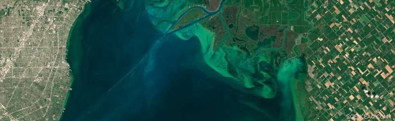 Landsat 8 Celebrates Five Years in Orbit: Milestones & Impact